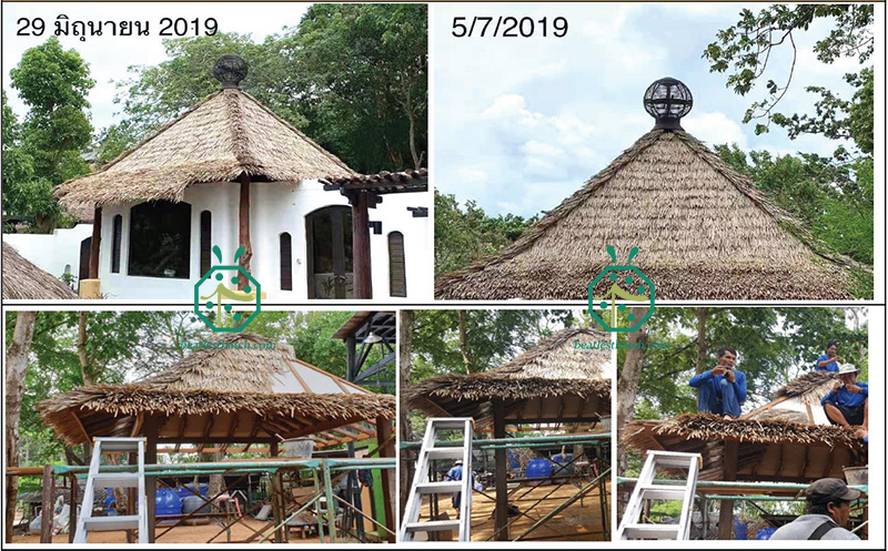 Instalación de techo de paja de fibra para la construcción de casas de cabañas de troncos en jardines de hoteles turísticos