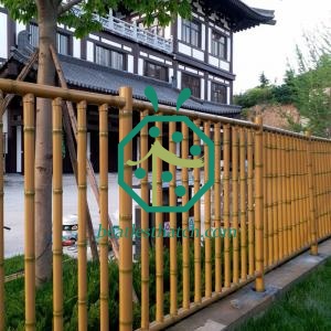 Theme park iron bamboo fencing
