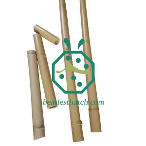 Imitación De Palos De Bambú Para El Jardín Al Aire Libre De Esgrima