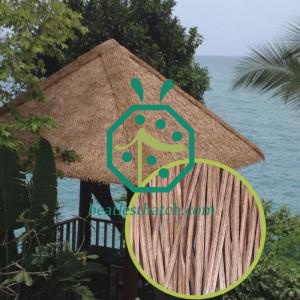Paja sintética de Maldivas para Beach Resort Hotel
