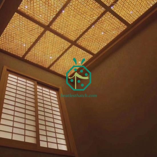 Wholesale Synthetic Cane Webbing Mesh Ceiling New York