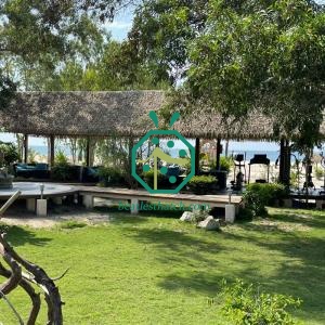 Techo de hojas de palma artificiales para cabañas Tiki