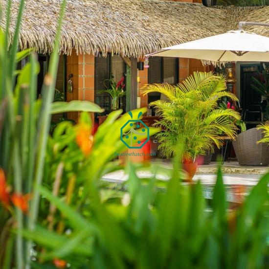 Synthetic palapa palm roof Bahamas