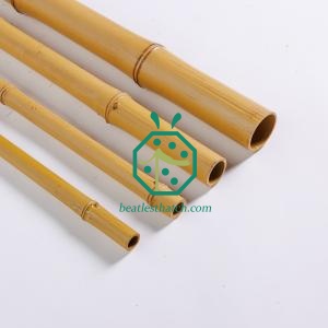 Wholesale of Synthetic Bamboo Rod Materials for Palapa Screen