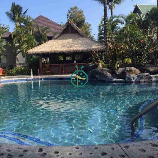 Durable Gazebo Plastic Thatch Roofing Material USA Waterfront Park Landscape Design