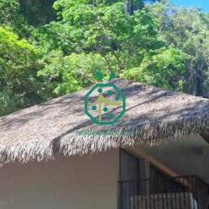 Techos de paja plástica ignífuga | Solución económica para cabañas tiki