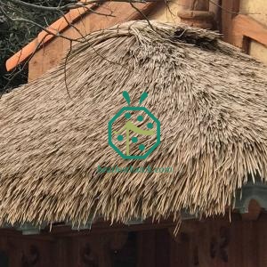 Palapa Thatch Roof Material