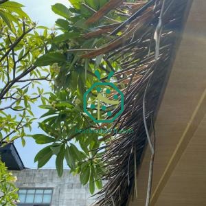 Tourism Building Fake Makuti Thatch Roof Panels for Roof Refurnishment