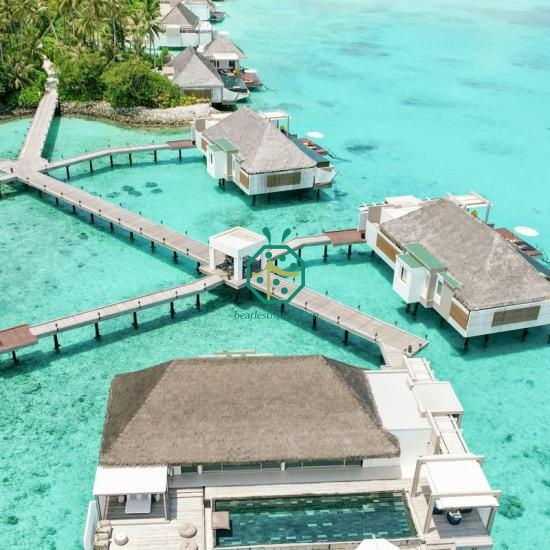 Mountain Villa Restaurant Thatch Roof Designs