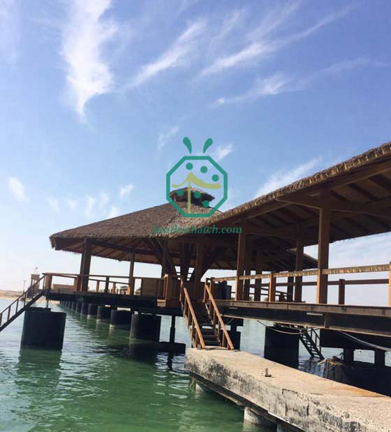 qatar proyecto de techo de paja para el parque frente al mar