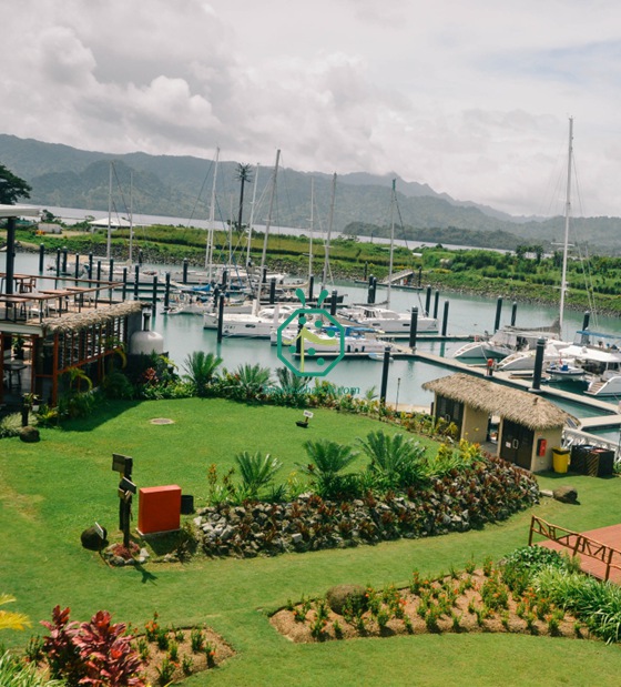 Techo de paja de palma de fibra para la decoración de casas Fiji Bure