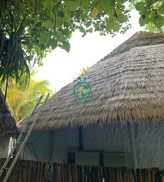Maldives Resort Hotel Proyecto de techo de paja artificial para Soneva
