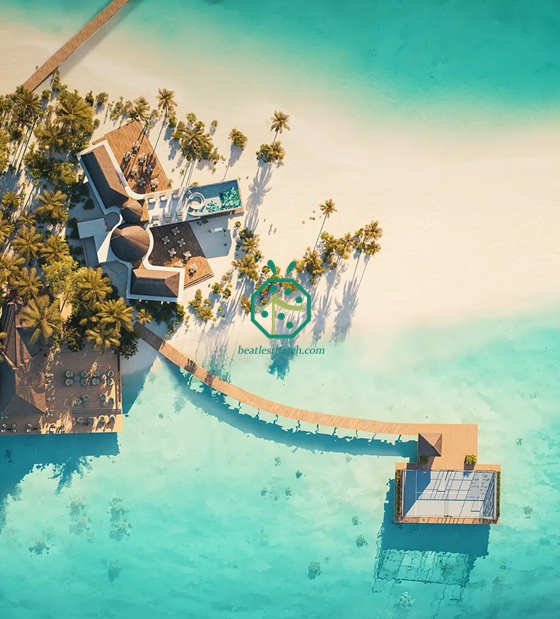 Decoración de techo de paja de imitación Cadjan para el pabellón de llegadas a las Maldivas