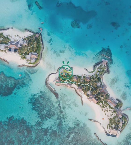 Hotel Maldives Resort elige tejas artificiales de paja Cadjan de alta calidad para su proyecto de bungalows en villas sobre el agua.