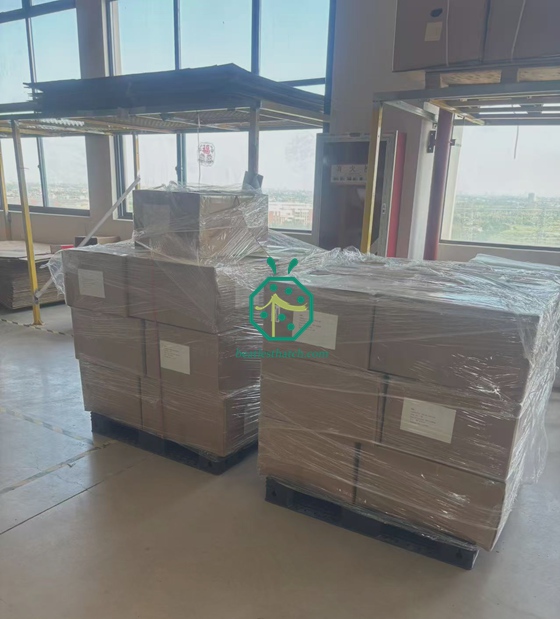 Envíos de techos de fibra de vidrio y pantallas de privacidad a las islas Seychelles