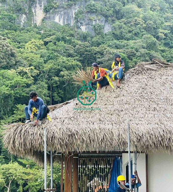 Construcción de cabañas de nipa ignífugas con techo de paja en Filipinas