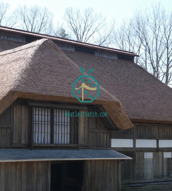 Finalizada la renovación de un edificio histórico en la prefectura de Yamagata con techo de paja sintética.