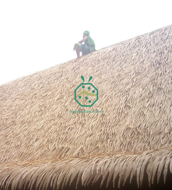 Proyecto de techado de paja de palma artificial de Oceanía Country